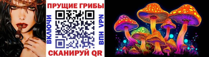 Псилоцибиновые грибы мицелий  купить наркотики цена  Саратов 