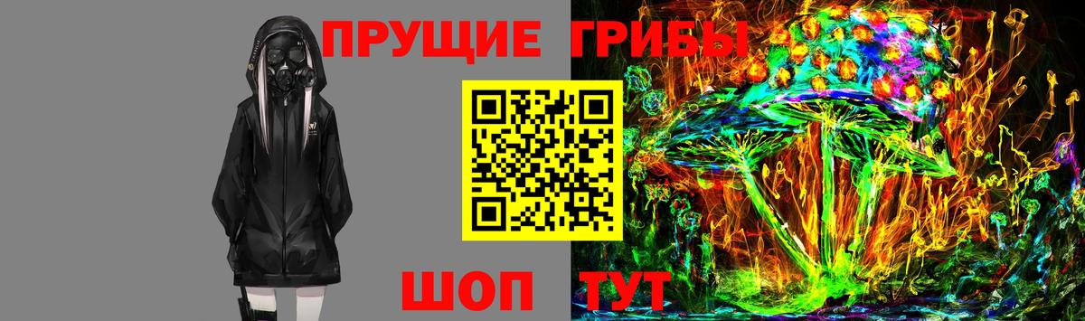 Саратов  Галлюциногенные грибы Psilocybine cubensis  Вход с VPN  Псилоцибиновые грибы MAGIC MUSHROOMS 